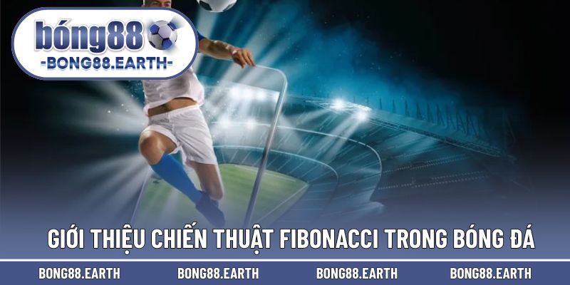 Giới thiệu chiến thuật Fibonacci khi cược bóng đá