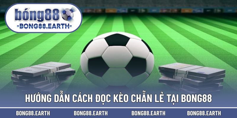 Hướng dẫn cách đọc cơ bản trong trải nghiệm bóng đá