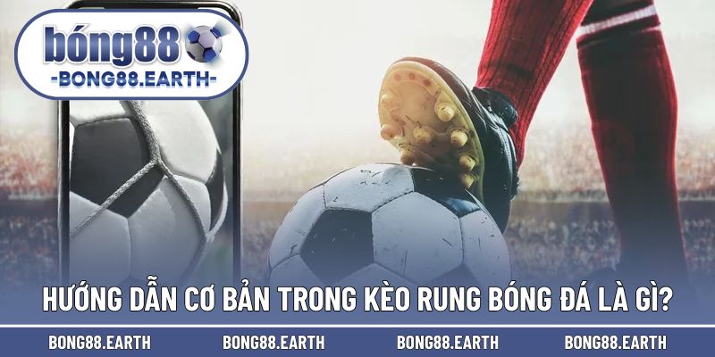 Hướng dẫn thực hiện cách đọc cho kèo rung trong bóng đá