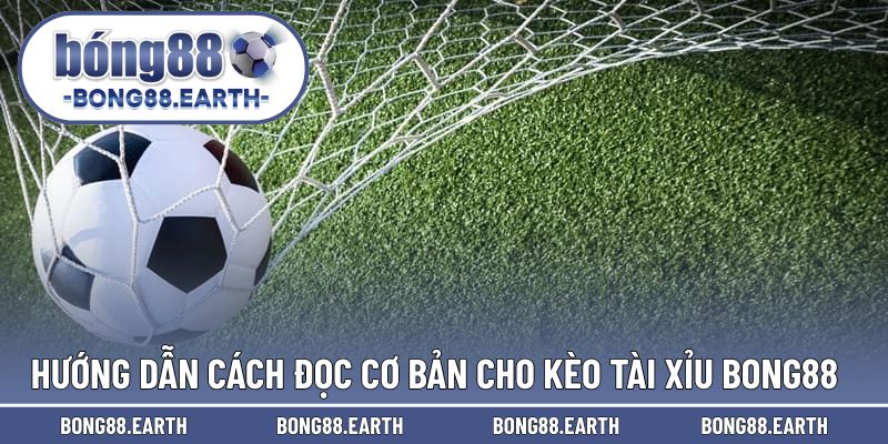 Hướng dẫn đọc dễ hiểu trong cược tài xỉu