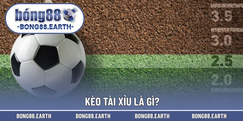 Cược tài xỉu ấn tượng trong từng trận đấu