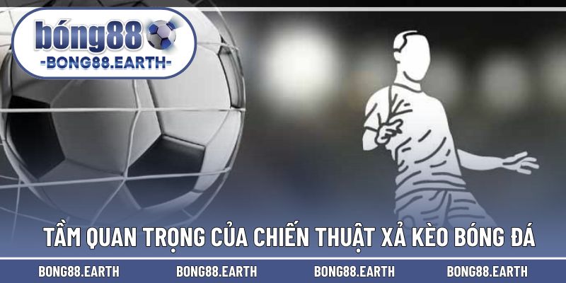 Tầm quan trọng của chiến thuật bỏ cược